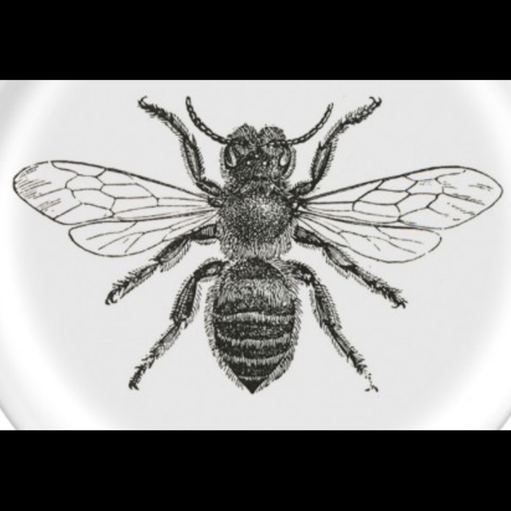 Meet your Posher, Trang